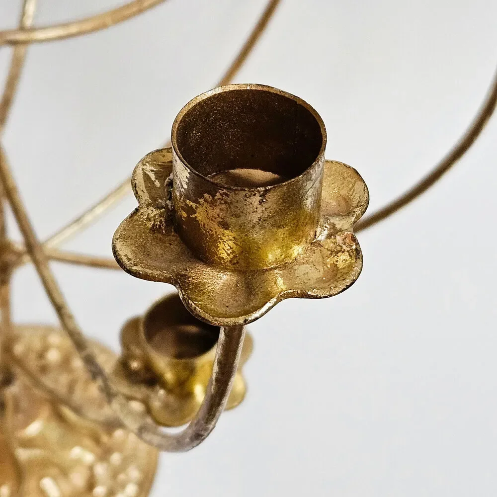 Anthropologie dramatic statement